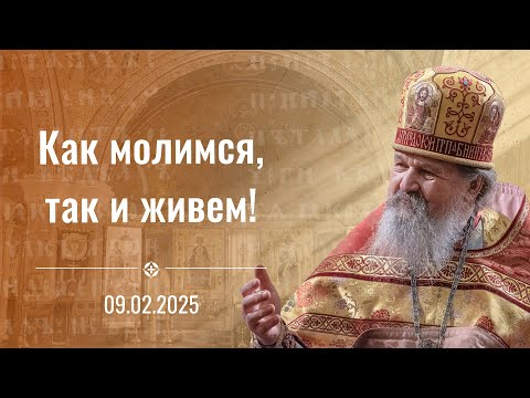 Видео: Как молимся, так и живем. Воскресная проповедь о. Андрея Лемешонка 9 февраля 2025 г.
