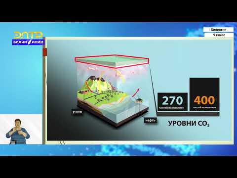 Видео: 9-класс | Биология | Современные экологические проблемы.Значение охраны биосферы для жизни на Земле