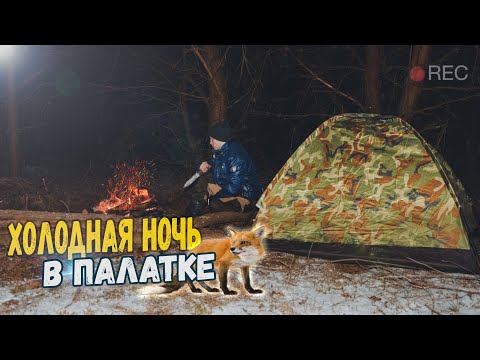 Видео: Ночевка в лесу. Одиночный поход с ночевкой в палатке. Страшные крики в лесу. Кто это ?