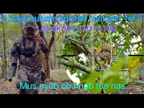 Видео: Двухдневная осенняя охота на белку с пневматической винтовкой | LCS SK-19 и FX M3 | Ob hnub tua n...