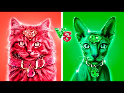 Видео: Мы построили секретную комнату для животных! Изумруд vs Рубин!