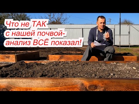 Видео: После анализа почвы стало понятно, что с ней не так и как это исправить!