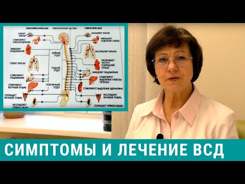 Видео: Вегетососудистая дистония: симптомы и лечение ВСД