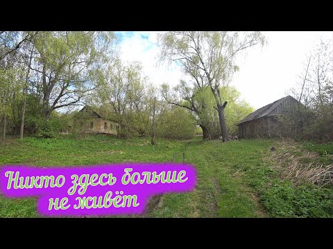 Видео: Деревня Шейново / Заброшенные деревни Орловская область