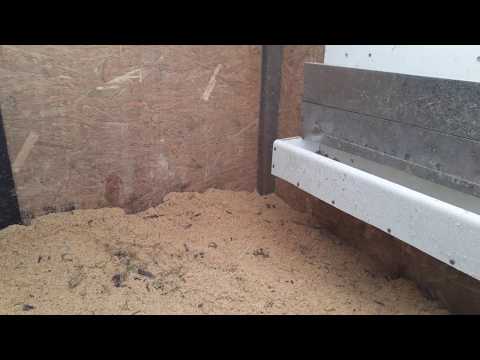 Видео: Домик для гусей....