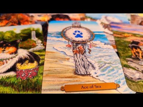 Видео: Какви са истинските ти чувства, които не споделяш към мен? ❤️🥰😍