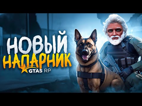 Видео: ВЗЯЛ СОБАКУ К9 для РАБОТЫ в LSPD ПОХИТИЛИ ЗАМ ШЕФА ПОЛИЦИИ ГТА 5 РП | GTA 5 RP