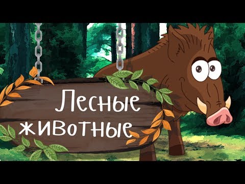 Видео: ДИКИЕ ЖИВОТНЫЕ В ЛЕСУ 🐺🦊 Учим животных - развивающие мультики для малышей про животных на русском