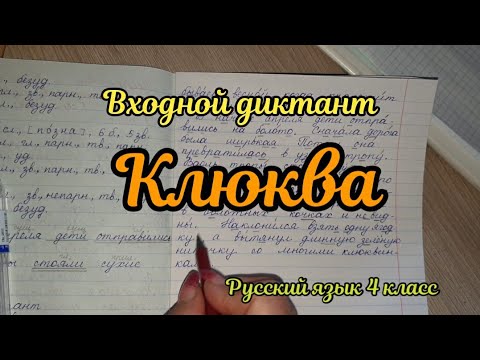 Видео: Входной контрольный диктант "Клюква"