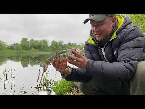 Видео: фидер на верхней Москва реке