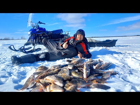 Видео: Не смотря на не погоду рыбалка выдалась на ура. Жерлицы мормышки силикон балансиры работало всё.