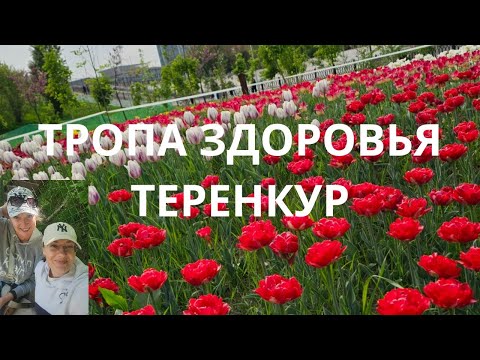 Видео: Теренкур тропа здоровья