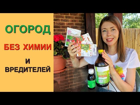 Видео: БИОПРЕПАРАТЫ от вредителей: Какие выбрать? Как применять? Почему они не работают?