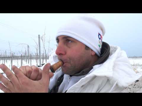 Видео: Goose Hunting in Pomorie, Bulgaria episode. 3 - ЛОВ НА ГЪСКИ В ПОМОРИЕ ЕПИЗОД 3 - ЛОВЕН КЛУБ