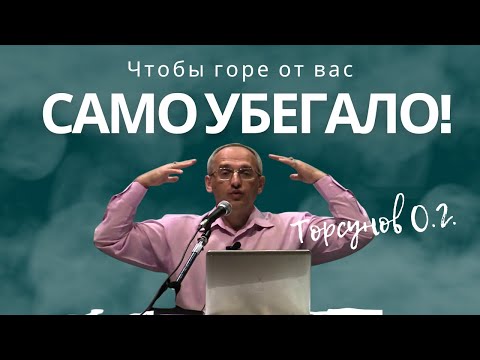 Видео: Чтобы горе от вас само убегало! Торсунов лекции