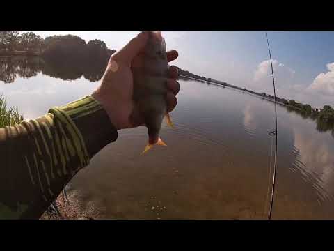 Видео: Matagi 662xul & Matagi 562xul. Крупный окунь на микроджиг. На что способны мормышинговые коротыши.