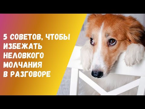 Видео: 5 СОВЕТОВ, ЧТОБЫ ИЗБЕЖАТЬ НЕЛОВКОГО МОЛЧАНИЯ В РАЗГОВОРЕ