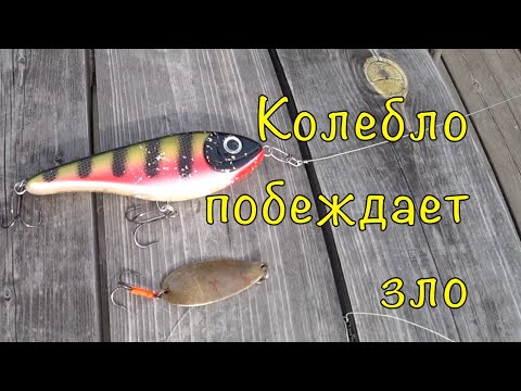 Видео: ДЖЕРКИ ПРОТИВ КОЛЕБАЛОК. РЫБОЛОВНЫЙ БАТЛ.