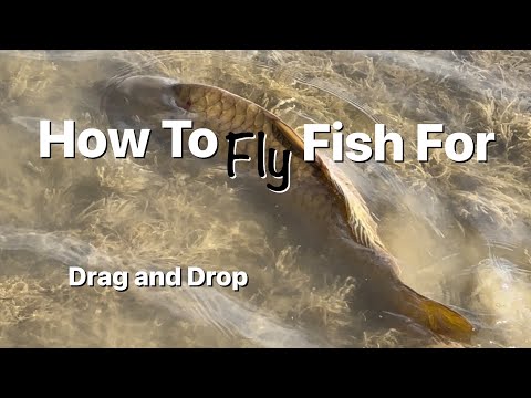 Видео: Как ловить карпа нахлыстом — перетаскивание