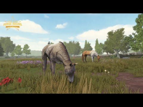 Видео: Новый наследный жеребец в Rival Stars?