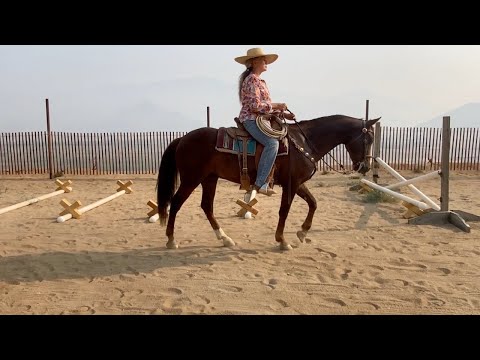 Видео: Клиника верховой езды Пэт и Деб