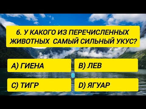Видео: Только 1 из 100 сможет ответить хотя бы на 15 вопросов