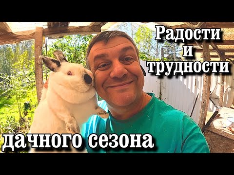 Видео: Новая Шкура для Сарая! Сентябрьские Затеи: Клубника, Кролик который сделал ноги.