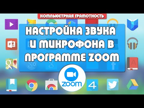 Видео: Почему в ZOOM не работает звук и микрофон?