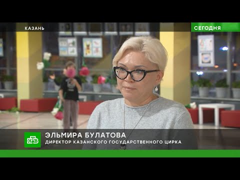 Видео: Я в цирк иду! / Проект "неЦирк" в Казанском цирке (2024) FHD
