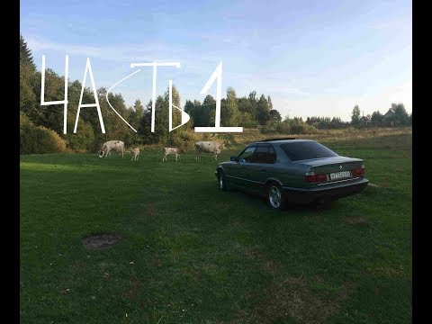 Видео: Замена приводных цепей ГРМ на m51 bmw.  Часть 1