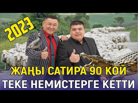 Видео: 90 КОЙ// ТЫНАР БОРОНЧУ ДЕПУТАТТАРДЫ ЖАЙЛАДЫ//ЖАҢЫ ТАМАША