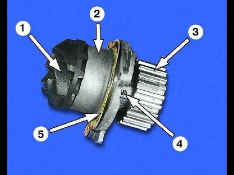 Видео: Обзор разбор помпы ваз 2108 . 2110 .2114 Приора 2170
