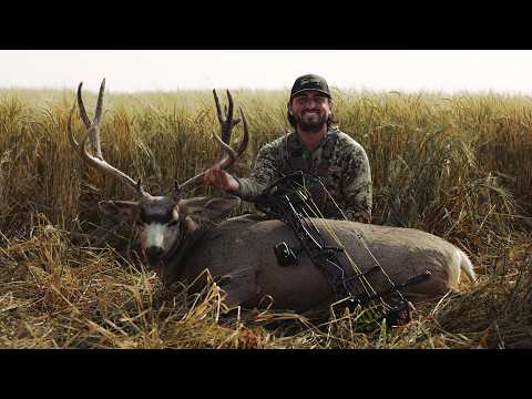 Видео: Моя первая охота с НОВЫМ Mathews ARC (ALBERTA MULE DEER)