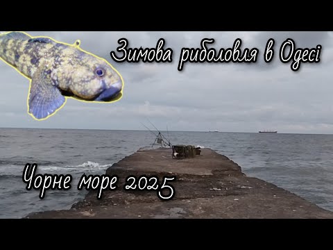 Видео: Зимова риболовля на морі.Чорне море 2025.