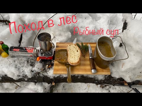 Видео: Одиночный поход в лес зимой