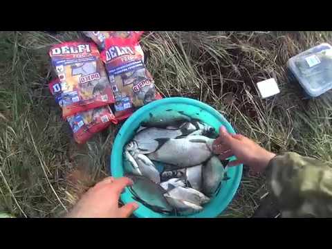 Видео: Майский ДВХ. DELFI против ТОПов.