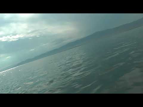 Видео: Рыбалка на Гусином озере. Бурятия