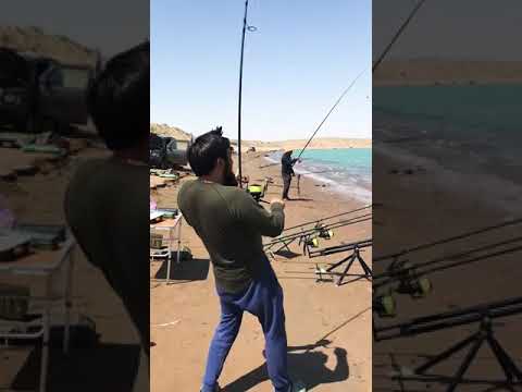 Видео: Рыбалка на Шардаре