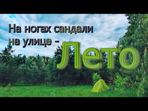 Видео: Лето- это маленькая жизнь.