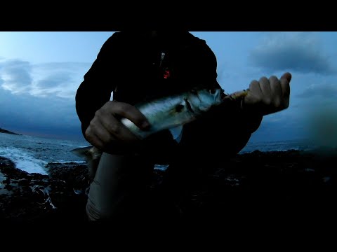 Видео: Риболов на лефер - 21.09.21