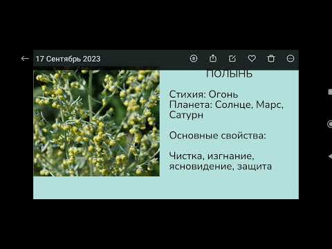 Видео: Полынь в магии