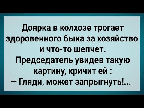 Видео: Как Доярка Быка За Хозяйство Трогала! Сборник Свежих Анекдотов! Юмор!