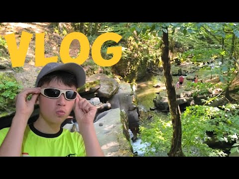 Видео: VLOG | ПОЇЗДКА В ЛУМШОРИ. ПЕРЕЗАГРУЗКА