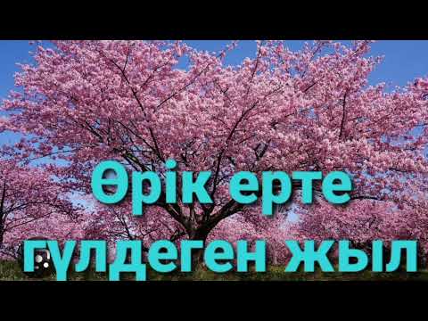 Видео: ӨРІК ЕРТЕ ГҮЛДЕГЕН ЖЫЛ 4-ші бөлім | повесть| Н.Қапалбеков|