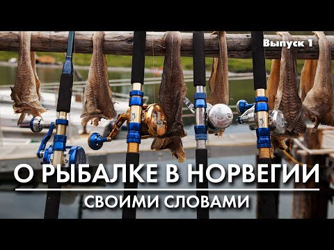 Видео: Рыбалка в Норвегии: удилища
