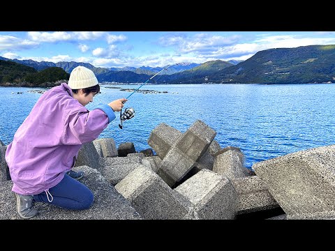 Видео: Когда я ловил рыбу в лунке из тетрапота, я поймал огромную рыбу!