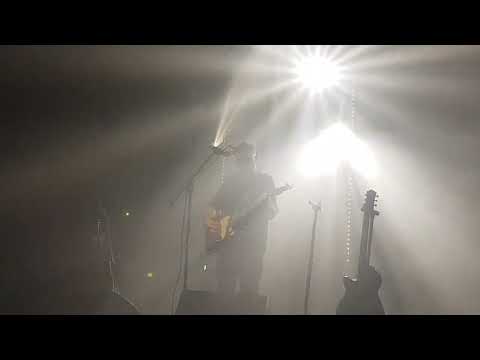 Видео: Звери У тебя в голове