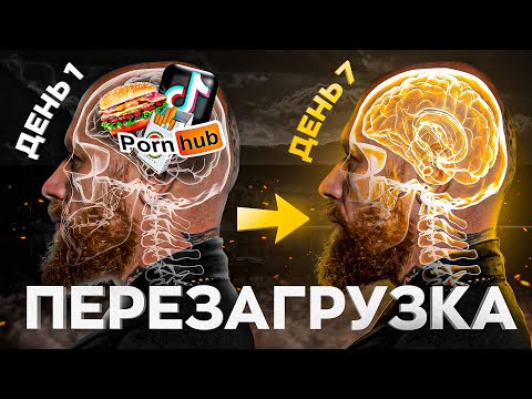 Видео: Эти 10 ВЕЩЕЙ, Перезагрузят Твой Мозг за 7 Дней (Буддийская Мудрость)