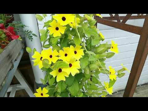 Видео: ГДЕ И КАК Я ЗАРАБАТЫВАЮ ДЕНЬГИ ДЛЯ ЖИЗНИ В ГЕРМАНИИ | #581