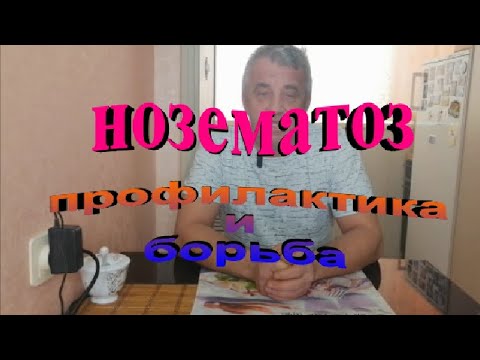 Видео: Нозематоз у пчел  Меры профилактики и борьбы с инфекцией